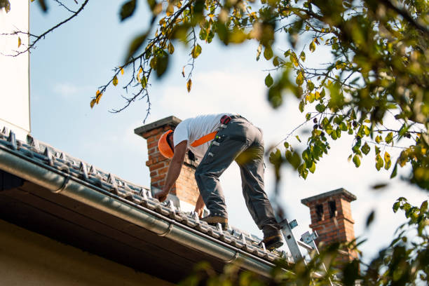 Best Metal Roofing Installation  in St Marys, OH