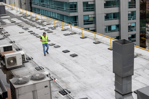 Best Skylight Installation and Repair  in St Marys, OH
