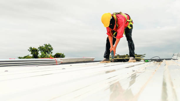 Best Skylight Installation and Repair  in St Marys, OH