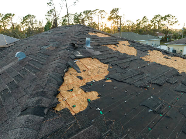 Best Hot Roofs  in St Marys, OH